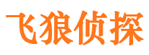 北湖调查公司